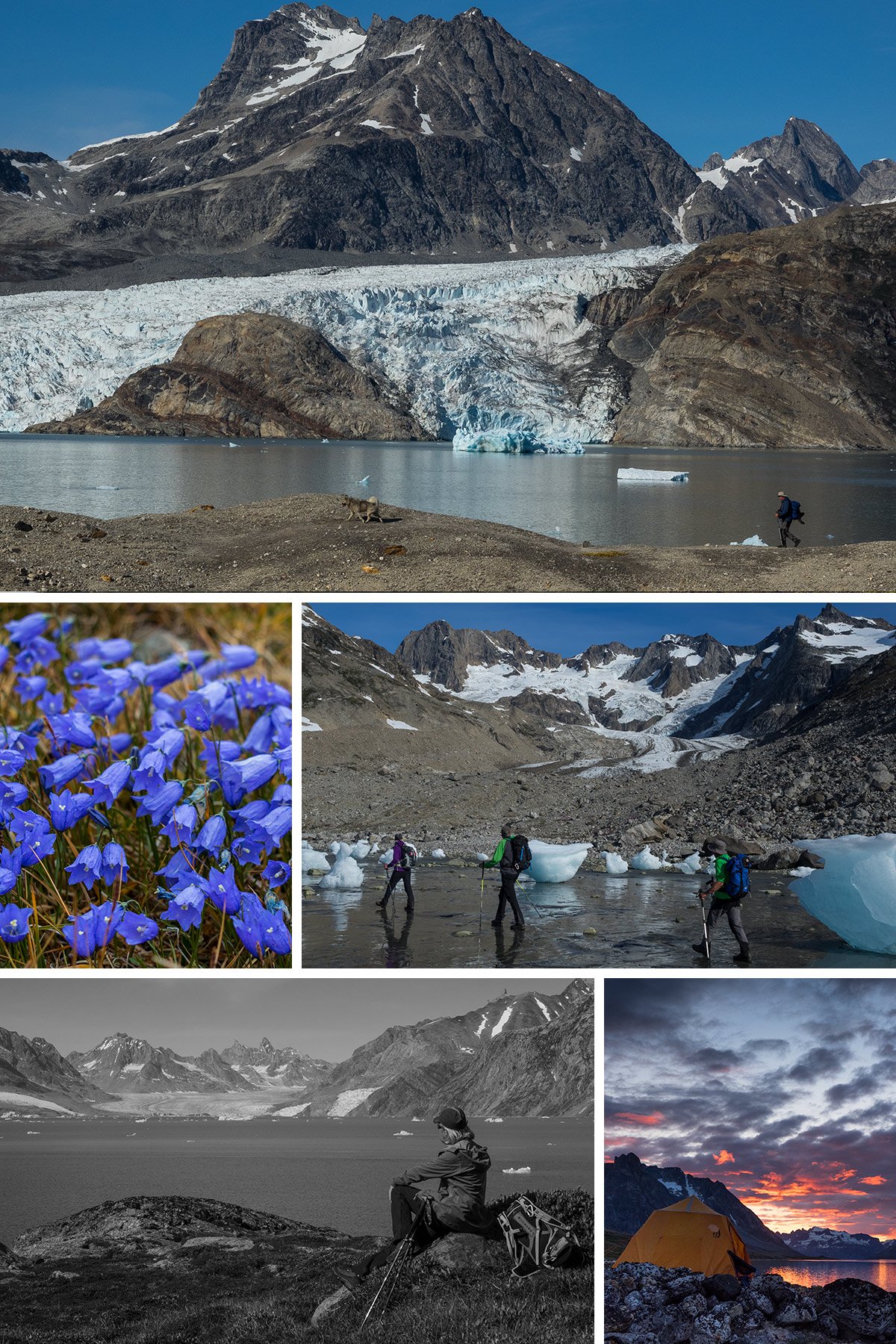 East Greenland Ski Touring, Mountaineering & Trekking Specialists