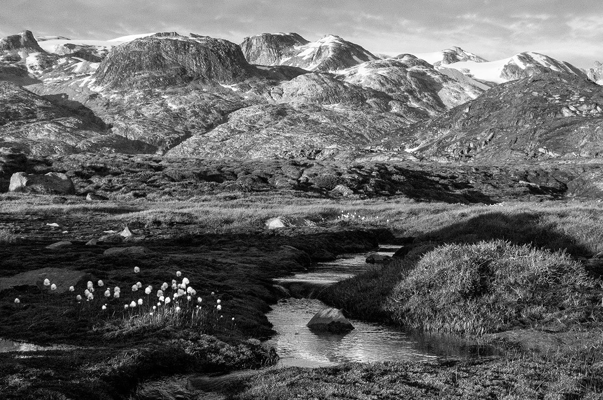 East Greenland Ski Touring, Mountaineering & Trekking Specialists