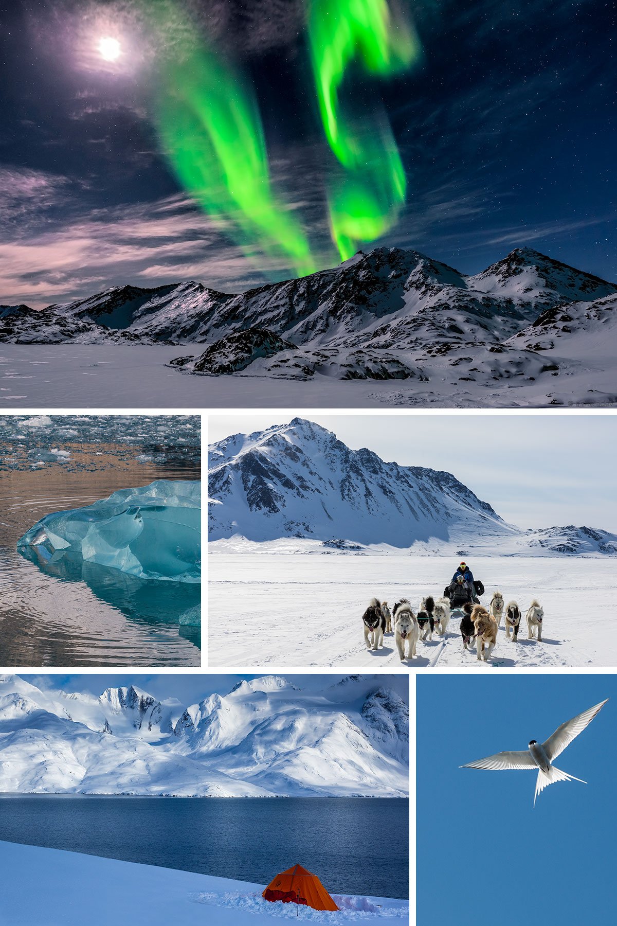 East Greenland Ski Touring, Mountaineering & Trekking Specialists