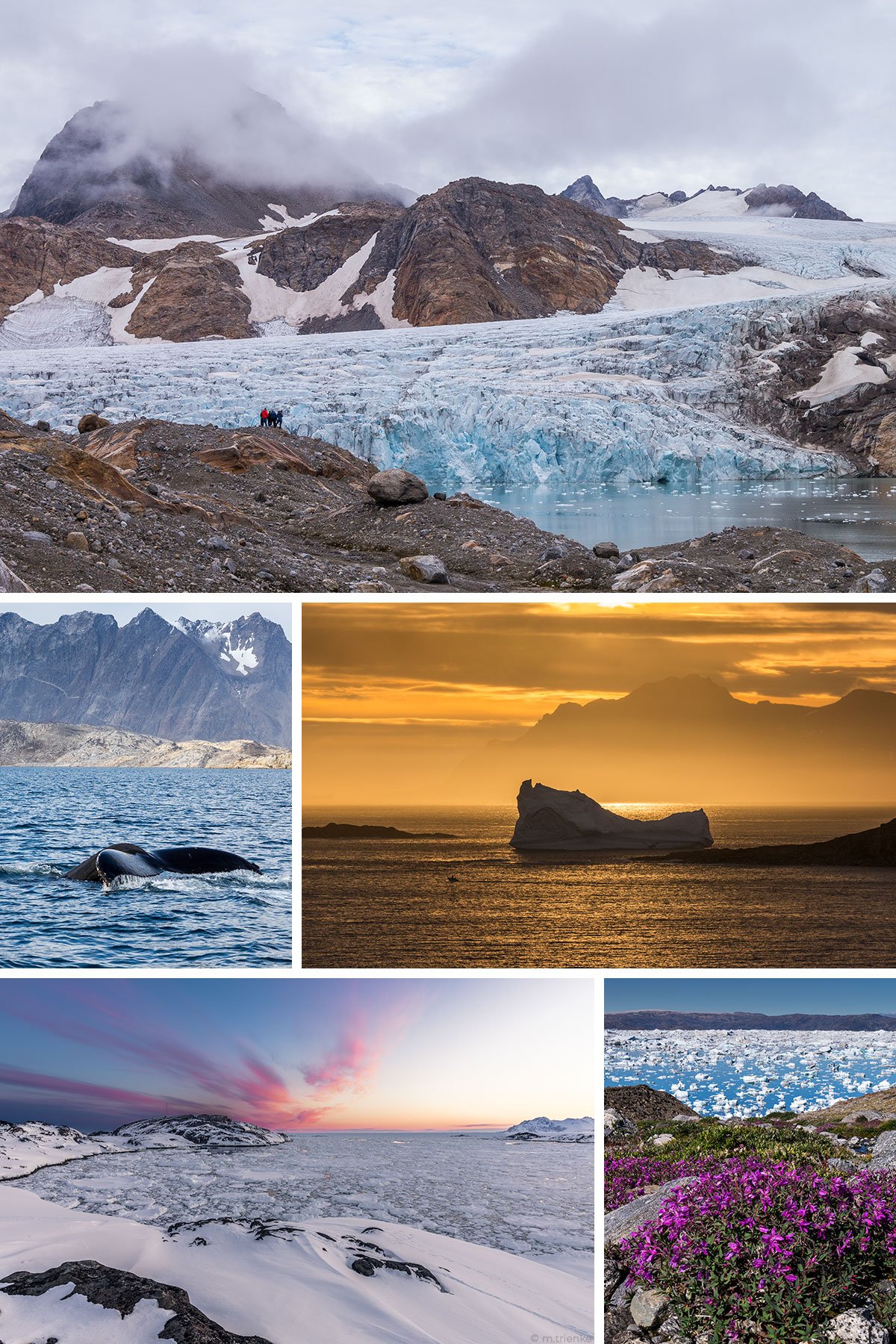 East Greenland Ski Touring, Mountaineering & Trekking Specialists